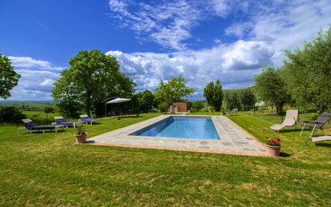 Gli Ulivi: Garten, Schwimmbad, Estate, Rasen, Landscaping, Schatten, Bauernhaus, Garten, Park, Hazienda