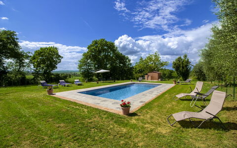 Gli Ulivi: Garten, Rasen, Schwimmbad, Landscaping, Estate, Park, Garten, Hinterhof, Bauernhaus, Hazienda