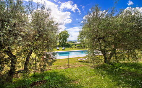 Gli Ulivi: Rasen, Garten, Wiese, Schatten, Park, Landscaping