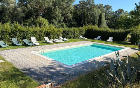 Civico108 Vacation Home, Pool, Castellina in Chian: Schwimmbad, Gartenmöbel, Garten, Resort, Hinterhof, Rasen, Estate, Schatten, Landscaping, Garten