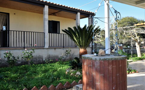 Villa Andrea: Blumentopf, Schatten, Garten, Zimmerpflanze, Landscaping, Garten, Hinterhof, Outdoor Struktur, Hof
