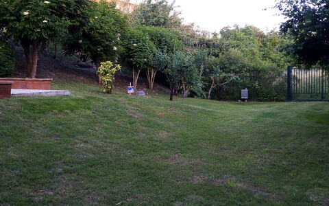 Casale Oleandro Marino: Gras, Blatt, Landschaft, Garten, Rasen, Grundstueck, Ground, Frühling, Garten