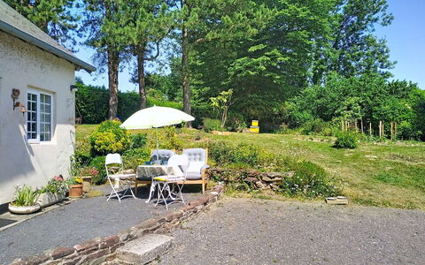 Coin Nature: Strauch, Garten, Hütte, Haus, Rasen, Hinterhof, Landscaping, Garten, Auffahrt