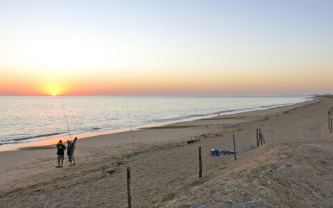 Altana: Himmel, Strand, Gewässer, Wasser, Horizont, Natürlichen Umgebung, Küste, Meer, Ufer