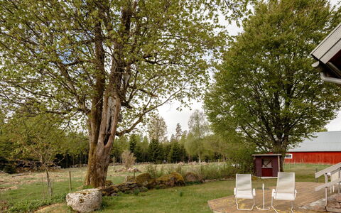 Grönadal: Baum, Blatt, Ast, Gras, Strauch, Grundstueck, Garten, Rasen, Zweig