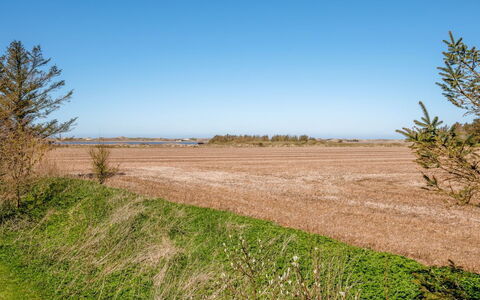 Petteri - 600M to the Fjord: Himmel, Blau, Gras, Ökoregion, Natürliche Landschaft, Wiese, Einfach, Feld, Horizont, Grundstueck