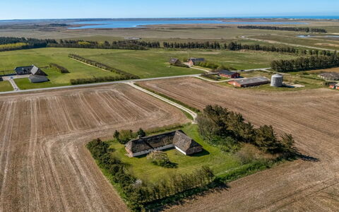 Petteri - 600M to the Fjord: Einfach, Landschaft, Ökoregion, Wiese, Grundstueck, Feld, Ländliches Gebiet, Luftaufnahmen, Menschliche Siedlung, Vogelperspektive