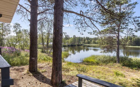 Sevettijärventie 8753: Baum, Natürlichen Umgebung, Natur, Landschaft, Grundstueck, Wald, Kofferraum, Reflexion
