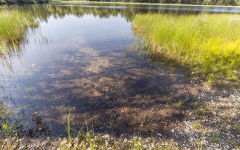 Sevettijärventie 8753: Wasser, Natürlichen Umgebung, Natur, Sumpf, Pflanzengemeinschaft, Reflexion, Bank