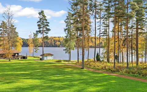 Villa Sinikka 1: Baum, Gras, Grün, Blatt, Natürliche Landschaft, Landschaft, Grundstueck, Bank, Garten