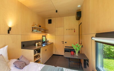 Tiny Cabin Sunshine No 21