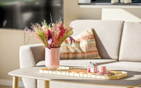Sighrik - 25M from the Sea: Möbel, Interior Design, Tabelle, Rosa, Wohnzimmer, Blumentopf, Kaffetisch, Zimmerpflanze, Couch