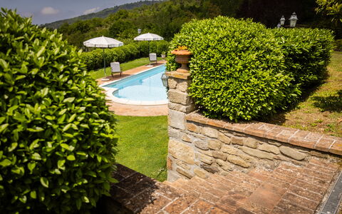 Casa Ivan: Strauch, Garten, Ground, Hecke, Landscaping, Rasen, Hinterhof, Schwimmbad, Garten, Eco Hotel