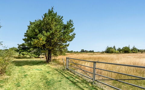 Munibert - 3.8Km from the Sea: Blau, Gras, Wiese, Natürliche Landschaft, Einfach, Grundstueck, Feld, Prärie, Weide, Ländliches Gebiet