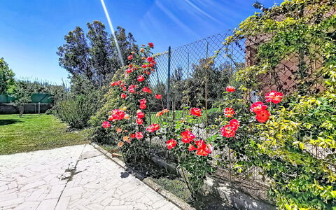 Villaggio Giornalisti 21: Wohngebiet, Menschliche Siedlung, Wohnung, Eigentumswohnung, Schwimmbad, Resort, Gartenmöbel, Hotel, Ferienort, Urlaub