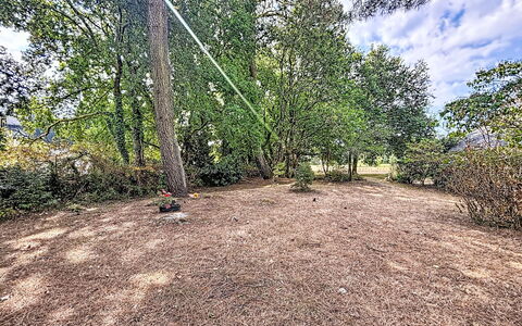Ploemel 102: Baum, Blatt, Ast, Strauch, Pflanzengemeinschaft, Boden, Grundstueck, Weg, Kofferraum, Ground