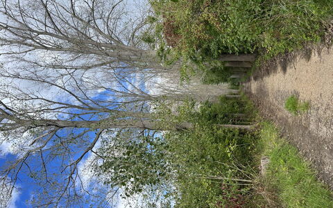De Witte Parel: Schwimmbad, Resort, Eco Hotel, Schatten, Hotel, Landscaping, Villa, Ferienort, Balkon
