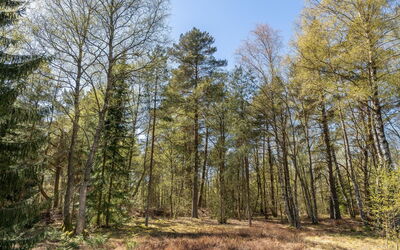 Jooseppi - 4.8Km from the Sea