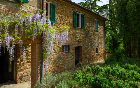 Villa the Horses: Strauch, Garten, Backstein, Steinwand
