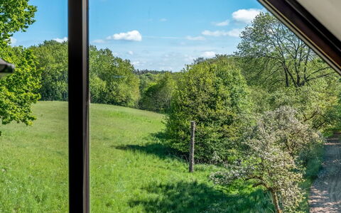 Aika - 1.6Km to the Fjord: Grün, Blatt, Baum, Gras, Natur, Vegetation, Ast, Natürliche Landschaft, Strauch