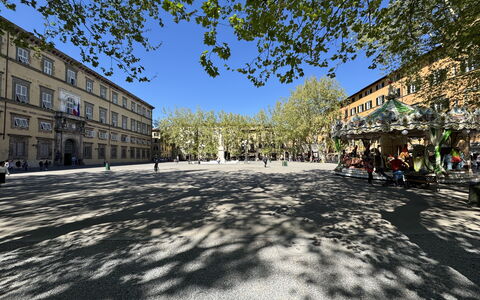 Alla Torre: Baum, Strassenbelag, Öffentlicher Raum, Stadt, Strasse, Stadtplatz, Menschliche Siedlung, Schatten, Plaza