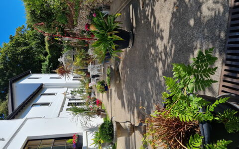 The Mews: Garten, Landscaping, Hinterhof