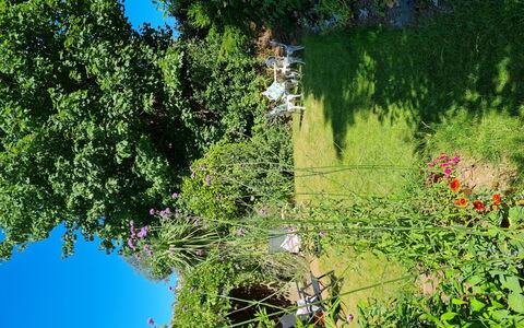 The Mews: Blume, Grün, Blatt, Vegetation, Strauch, Garten, Pflanzengemeinschaft, Frühling, Krautige Pflanze, Wild