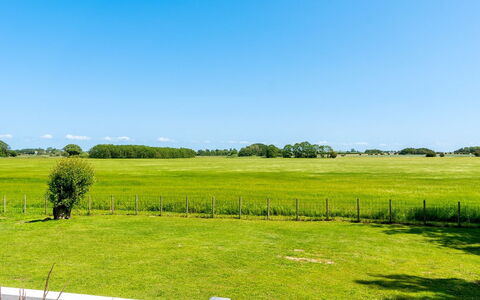 Saku - 375M from the Sea: Himmel, Blau, Grün, Daytime, Gras, Natürlichen Umgebung, Wiese, Natürliche Landschaft, Einfach, Wolke