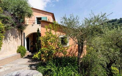 San Bartolomeo al Mare 650: Blatt, Vegetation, Strauch, Die Architektur, Zuhause, Garten, Estate, Landscaping, Hazienda