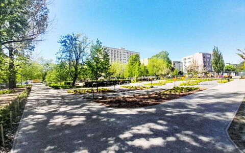 Przy Klifie: Baum, Strauch, Öffentlicher Raum, Garten, Bürgersteig, Walkway, Park, Landscaping, Stadtplatz, Botanischer Garten