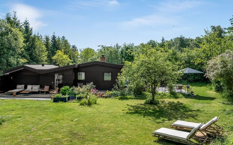 Franki - 1.8Km from the Sea: Gras, Strauch, Hütte, Haus, Zuhause, Grundstueck, Garten, Ground, Rasen