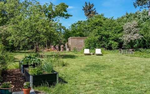 Franki - 1.8Km from the Sea: Vegetation, Strauch, Garten, Grundstueck, Pflanzengemeinschaft, Ground, Rasen, Schatten, Hinterhof
