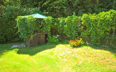 Forestside Villa: Grün, Blatt, Strauch, Garten, Pflanzengemeinschaft, Ground, Schatten, Hinterhof, Rasen, Garten