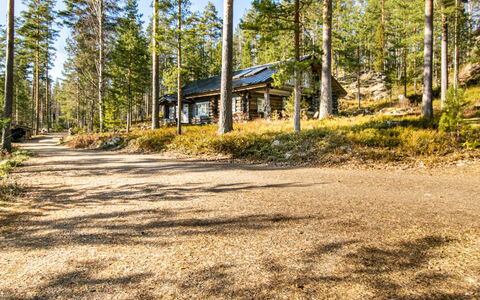 Villa Underberg: Baum, Wald, Wald, Kofferraum, Hütte, Lärche, Hain, Blockhaus