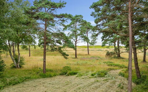 Aman - 100M from the Sea: Gras, Holz, Ländliches Gebiet, Strauch, Hütte, Dach, Einfach, Grundstueck, Zuhause, Ground