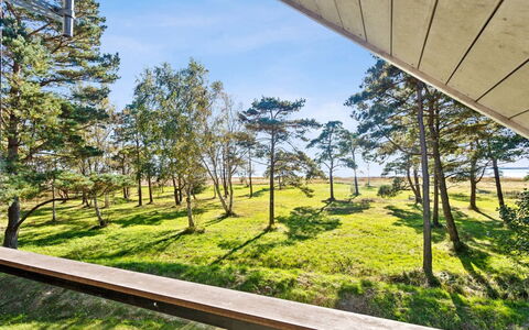 Aman - 100M from the Sea: Gras, Holz, Ländliches Gebiet, Strauch, Hütte, Dach, Einfach, Grundstueck, Zuhause, Ground
