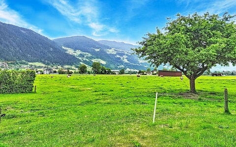 Schöflauerhof: Grün, Gras, Bergforms, Wiese, Natürliche Landschaft, Hügel, Berg, Einfach, Landschaft, Sommer