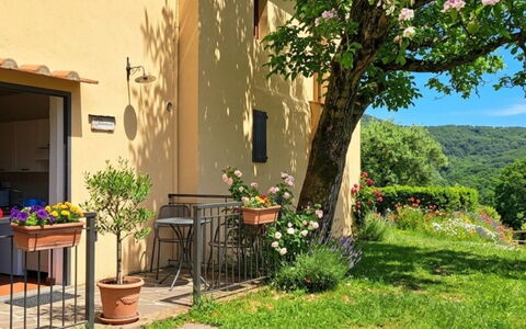 Gelsomino: Garten, Gartenmöbel, Stuhl, Garten, Blumentopf, Hinterhof, Küche & Esszimmer Tisch, Zimmerpflanze, Landscaping, Tisch Im Freien