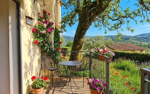 Gelsomino: Blume, Frühling, Blumentopf, Zimmerpflanze, Garten, Stuhl, Balkon, Tisch Im Freien, Garten