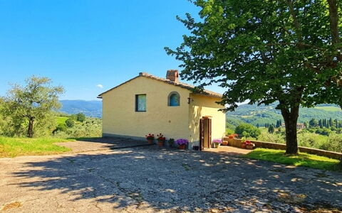 Olivo: Haus, Hütte, Ländliches Gebiet, Grundstueck, Menschliche Siedlung, Bauernhaus, Dorf