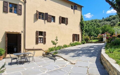 Rosmarino: Flagstone, Blumentopf, Garten, Schatten, Estate, Hof, Zimmerpflanze, Landscaping, Garten