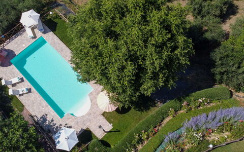 Casa dei Nonni: Schwimmbad, Garten, Freizeit, Resort, Rasen, Estate, Hinterhof, Landscaping, Schatten, Garten