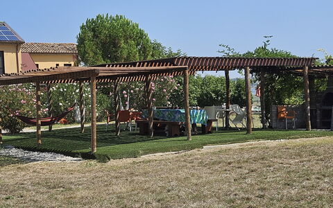 Casale dei Ciliegi: Schatten, Garten, Grundstueck, Gazebo, Rasen, Outdoor Struktur, Hinterhof, Pavillon, Pergola