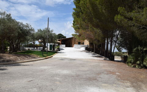 Villa Chiaramonte Gulfi: Baum, Strassenbelag, Auffahrt, Schatten, Landscaping, Hazienda, Schatten, Pfad