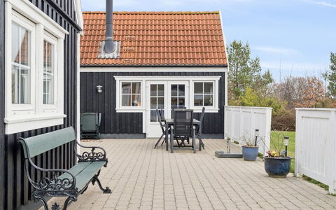 Franka - 1.1Km from the Sea: Pflanzengemeinschaft, Sonnenlicht, Krautige Pflanze, Garten, Plantage, Landwirtschaft, Bauernhof