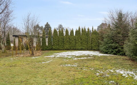 Gittel - 200M from the Sea: Strauch, Garten, Gehölz, Lärche, Rasen, Immergrün, Landscaping, Wald, Park