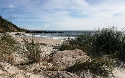 Gittel - 200M from the Sea