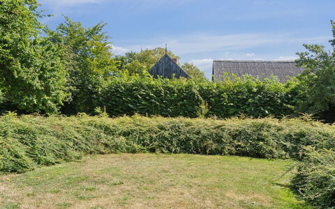 Skjold - 250M from the Sea: Gras, Vegetation, Strauch, Pflanzengemeinschaft, Ground, Hecke, Grundstueck, Garten, Plantage