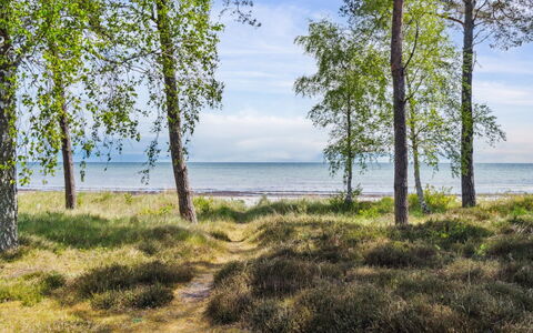 Liska - 60M from the Sea: Holz, Dach, Zuhause, Haus, Die Architektur, Abstellgleis, Grundstueck, Hütte, Schuppen, Gartenbauten