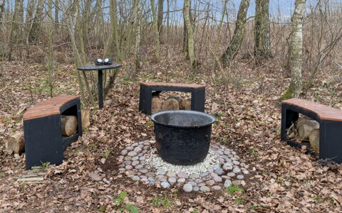 Eggerich - 700M from the Sea: Vegetation, Strauch, Frühling, Hütte, Garten, Schatten, Hinterhof, Garten, Stuhl